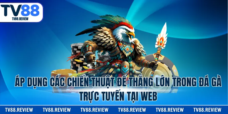 Áp dụng các chiến thuật để thắng lớn trong đá gà trực tuyến tại web