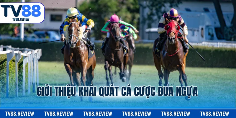 Giới thiệu khái quát Cá cược đua ngựa